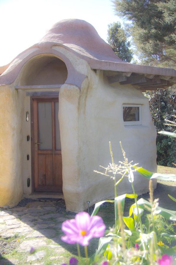 Vila Solscape Raglan Exteriér fotografie