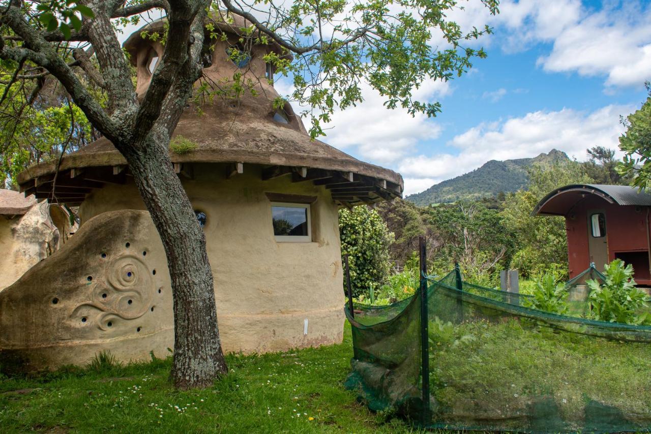 Vila Solscape Raglan Exteriér fotografie